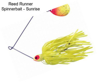 Reed Runner Spinnerbait - Sunrise