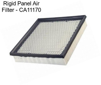 Rigid Panel Air Filter - CA11170