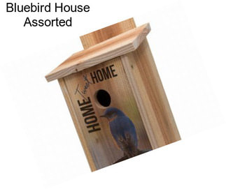 Bluebird House Assorted