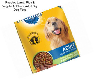 Roasted Lamb, Rice & Vegetable Flavor Adult Dry Dog Food