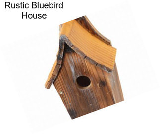 Rustic Bluebird House