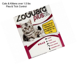 Cats & Kittens over 1.5 lbs Flea & Tick Control