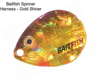 Baitfish Spinner Harness - Gold Shiner