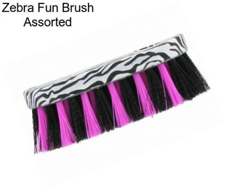 Zebra Fun Brush Assorted