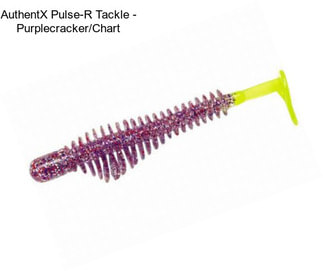 AuthentX Pulse-R Tackle - Purplecracker/Chart