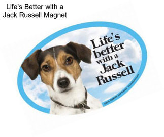 Life\'s Better with a Jack Russell Magnet