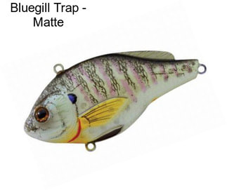 Bluegill Trap - Matte