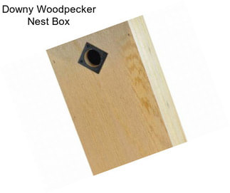 Downy Woodpecker Nest Box