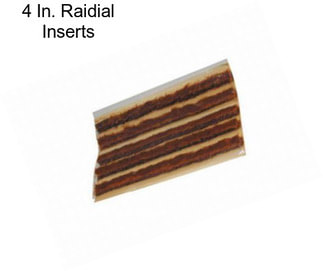 4 In. Raidial Inserts