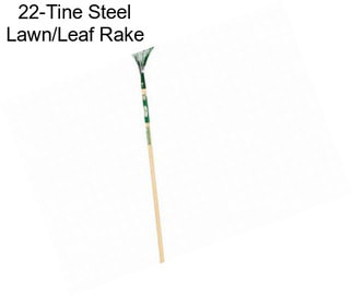 22-Tine Steel Lawn/Leaf Rake