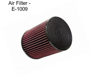 Air Filter - E-1009
