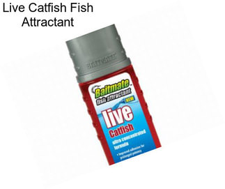 Live Catfish Fish Attractant