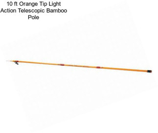 10 ft Orange Tip Light Action Telescopic Bamboo Pole