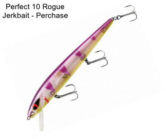 Perfect 10 Rogue Jerkbait - Perchase