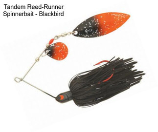 Tandem Reed-Runner Spinnerbait - Blackbird