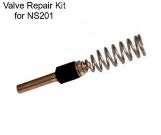 Valve Repair Kit for NS201