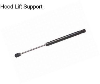 Hood Lift Support