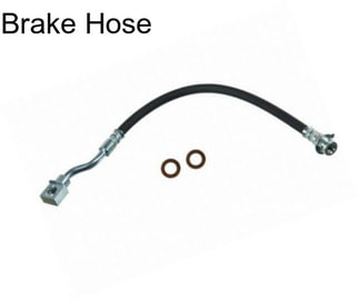 Brake Hose