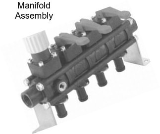 Manifold Assembly