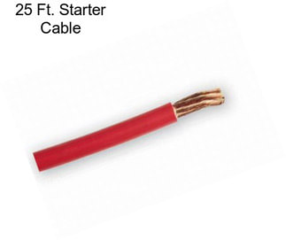 25 Ft. Starter Cable