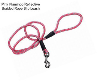 Pink Flamingo Reflective Braided Rope Slip Leash