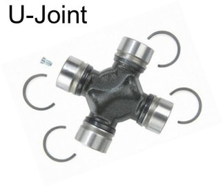 U-Joint