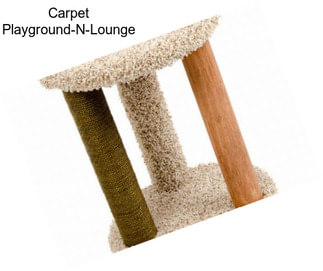 Carpet Playground-N-Lounge