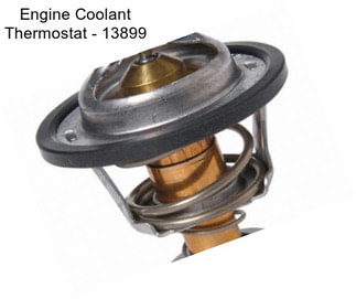 Engine Coolant Thermostat - 13899