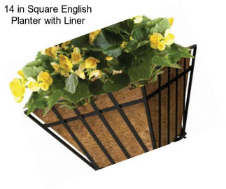 14 in Square English Planter with Liner