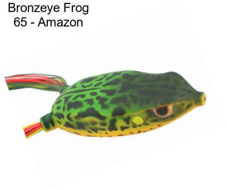 Bronzeye Frog 65 - Amazon
