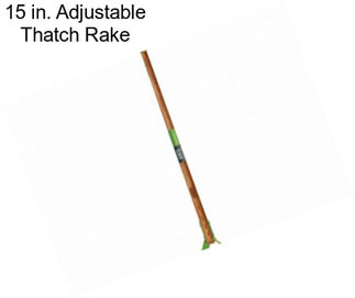 15 in. Adjustable Thatch Rake