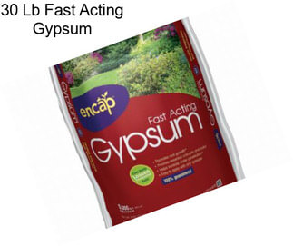 30 Lb Fast Acting Gypsum