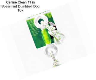 Canine Clean 11 in Spearmint Dumbbell Dog Toy