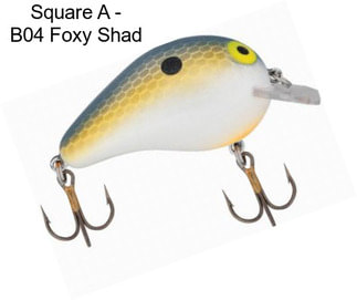 Square A - B04 Foxy Shad