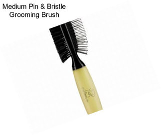 Medium Pin & Bristle Grooming Brush