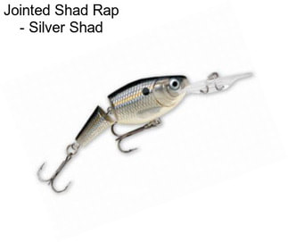 Jointed Shad Rap - Silver Shad