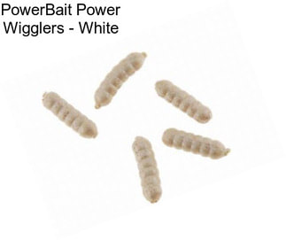 PowerBait Power Wigglers - White