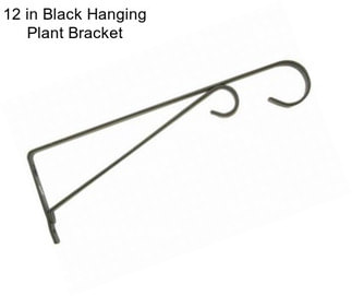 12 in Black Hanging Plant Bracket