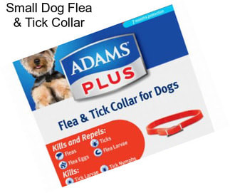 Small Dog Flea & Tick Collar