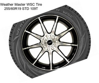 Weather Master WSC Tire 255/60R19 STD 109T