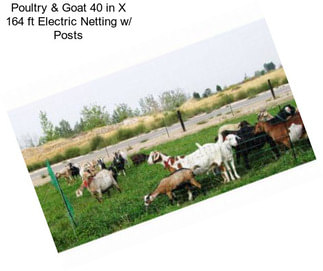 Poultry & Goat 40 in X 164 ft Electric Netting w/ Posts
