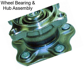 Wheel Bearing & Hub Assembly