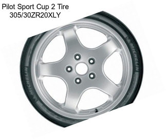 Pilot Sport Cup 2 Tire 305/30ZR20XLY