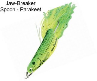 Jaw-Breaker Spoon - Parakeet