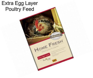 Extra Egg Layer Poultry Feed