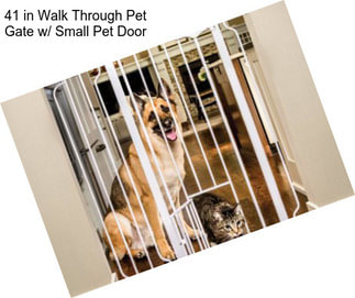 41 in Walk Through Pet Gate w/ Small Pet Door