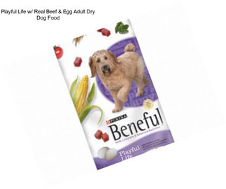 Playful Life w/ Real Beef & Egg Adult Dry Dog Food