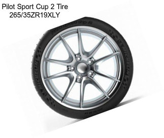 Pilot Sport Cup 2 Tire 265/35ZR19XLY