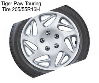 Tiger Paw Touring Tire 205/55R16H