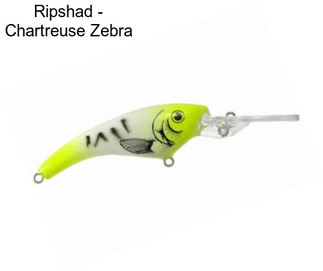 Ripshad - Chartreuse Zebra
